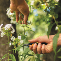 Solid™ Pruning Micro-Tip Snip (SP130) | PREORDER MARCH