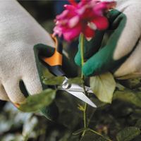 Solid™ Pruning Snips (SP151) | PREORDER MARCH