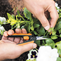 Solid™ Pruning Micro-Tip Snip (SP130) | PREORDER MARCH