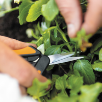 Solid™ Pruning Micro-Tip Snip (SP130) | PREORDER MARCH